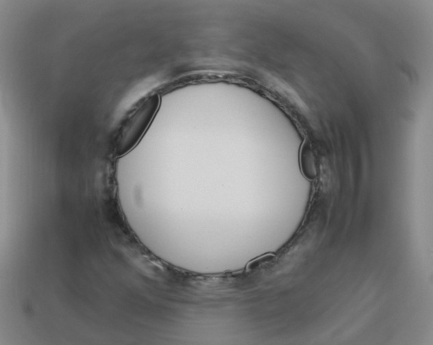 X0000113331352200910131140