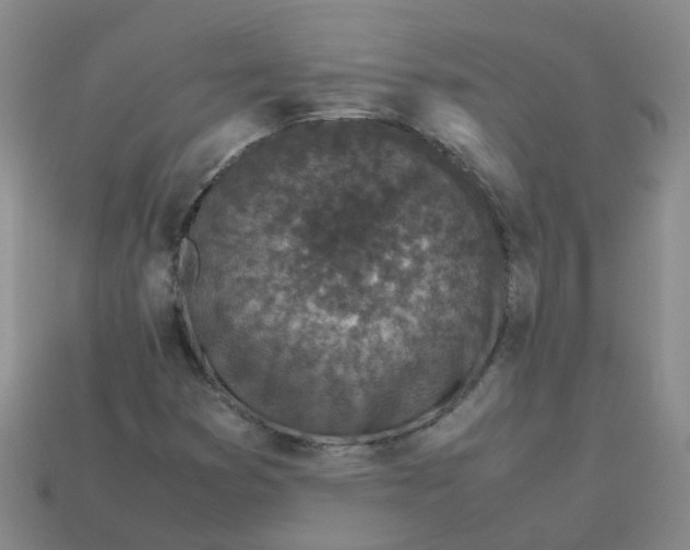 X0000113331353200910131140