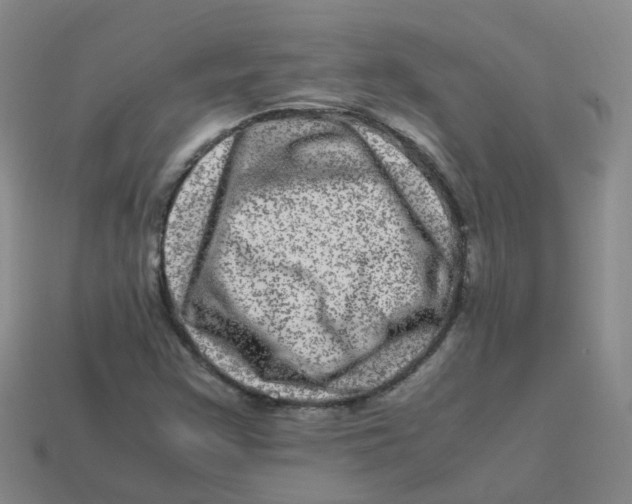 X0000113331355200910131140