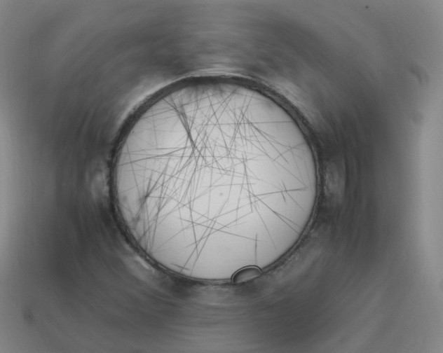 X0000113331356200910131140