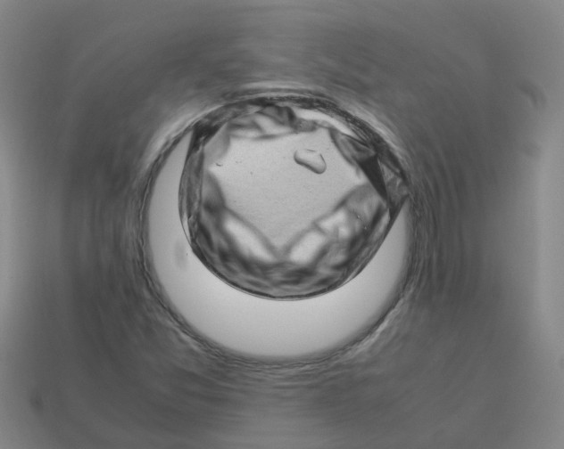 X0000113331357200910131140