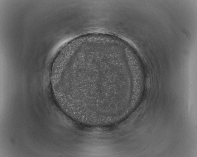 X0000113331359200910131140