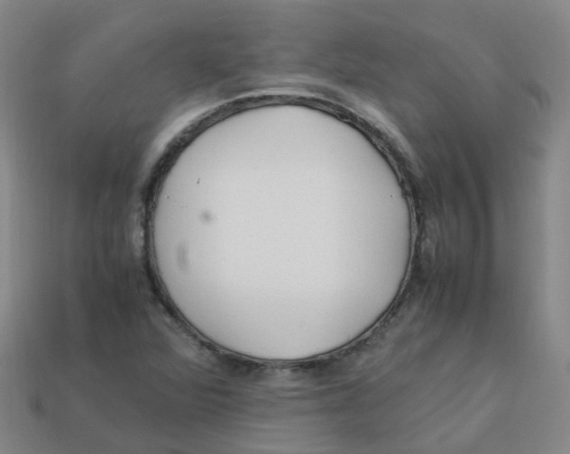 X0000113331360200910131140