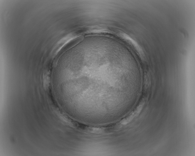 X0000113331361200910131140