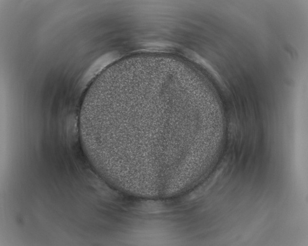 X0000113331362200910131140