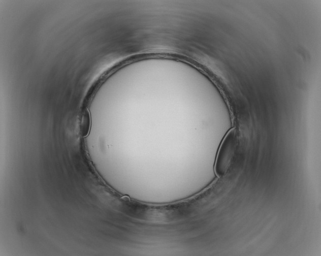 X0000113331364200910131140