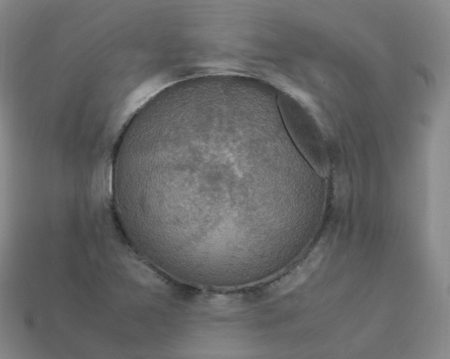 X0000113331365200910131140