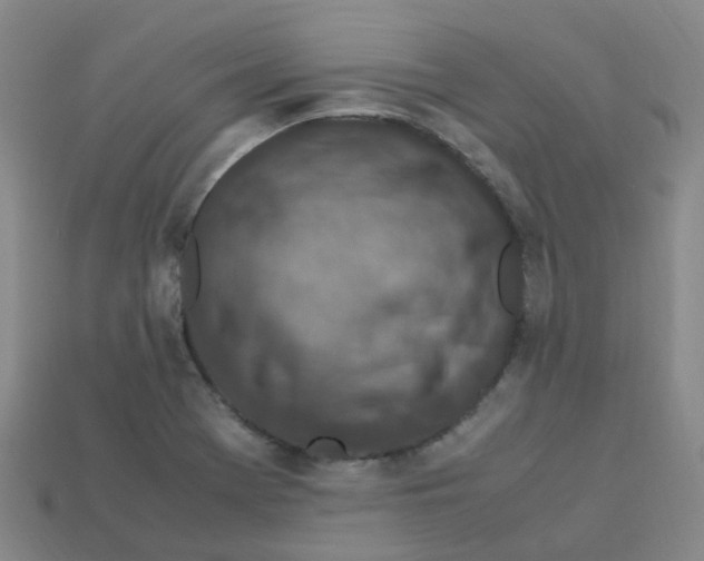 X0000113331369200910131140