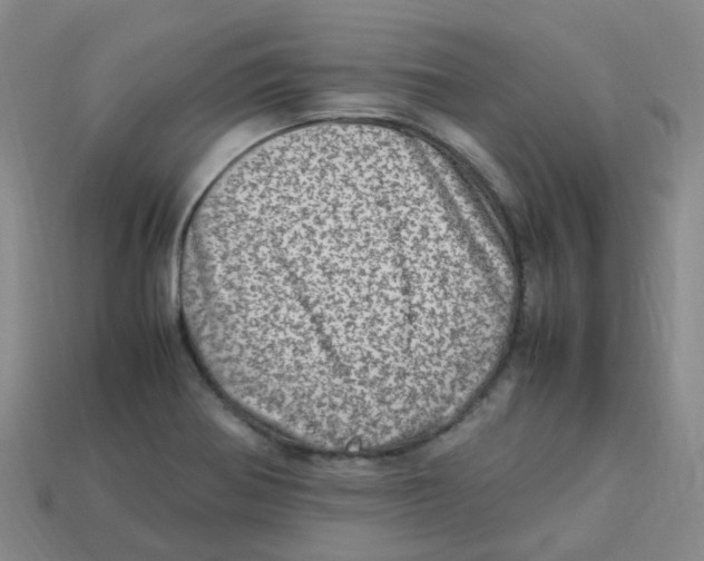 X0000113331370200910131140