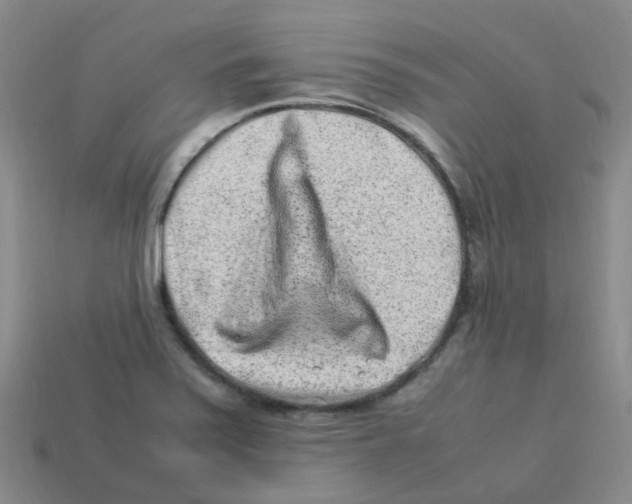 X0000113331371200910131140