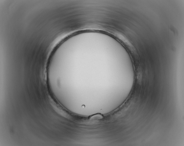 X0000113331372200910131140
