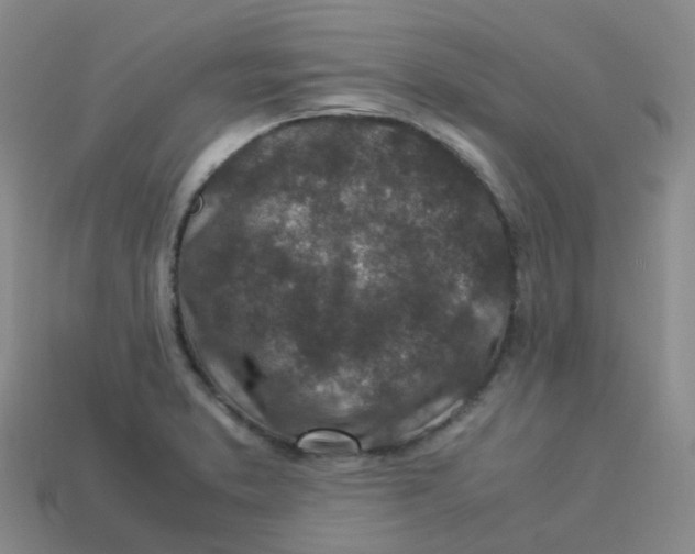 X0000113331373200910131140