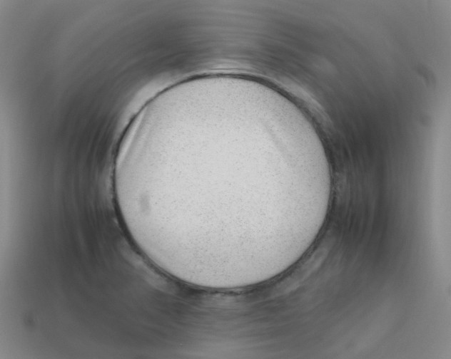 X0000113331374200910131140