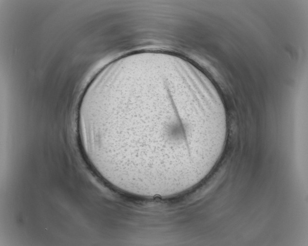 X0000113331375200910131140