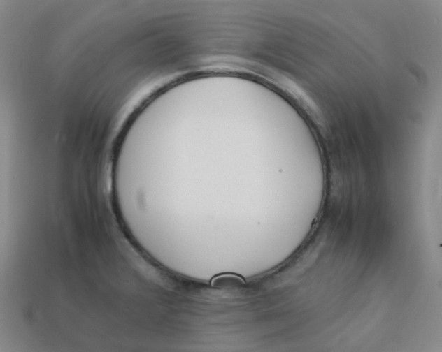 X0000113331376200910131140