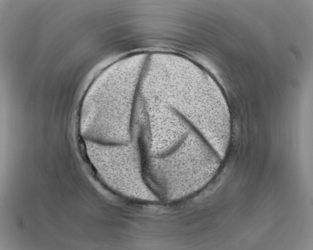 X0000113331379200910131140