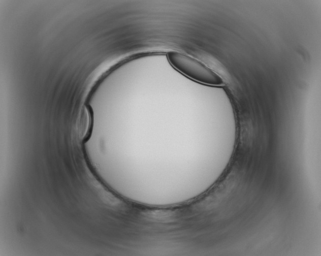 X0000113331380200910131140