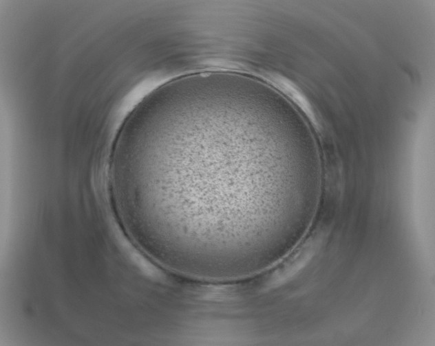 X0000113331381200910131140