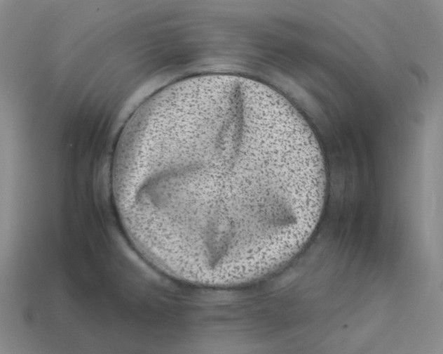 X0000113331382200910131140