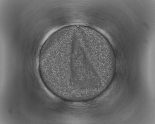 X0000113331383200910131140