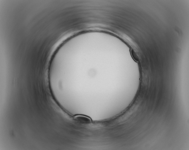 X0000113331384200910131140