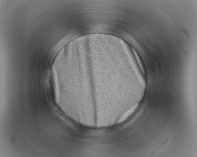 X0000113331386200910131140