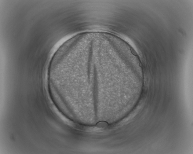 X0000113331387200910131140