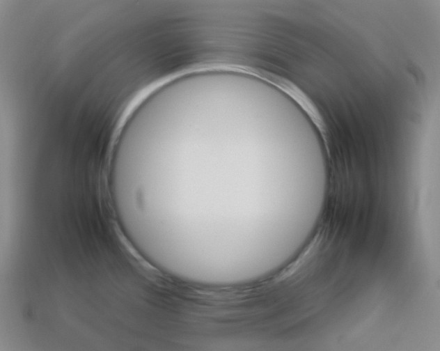 X0000113331388200910131139