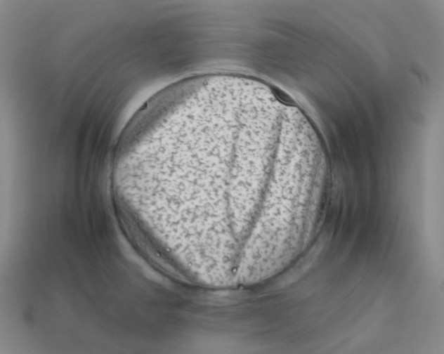X0000113331390200910131139
