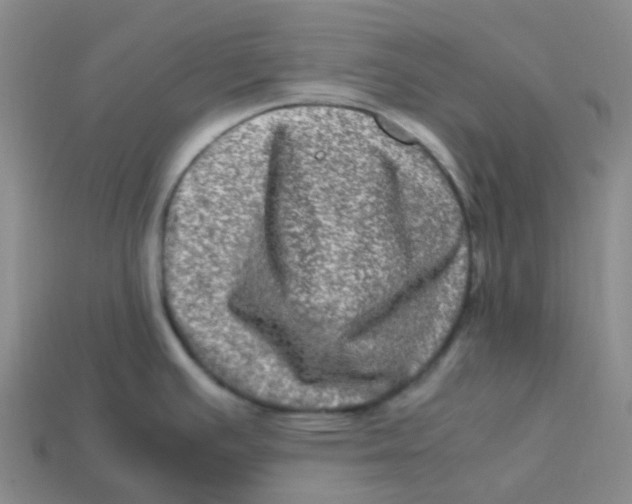 X0000113331391200910131139