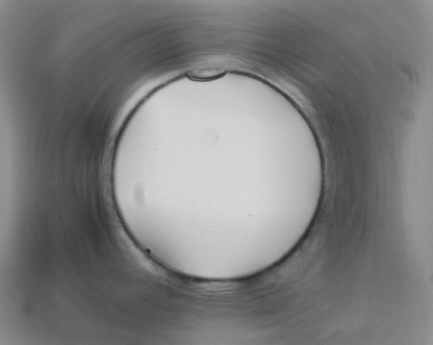 X0000113331392200910131139