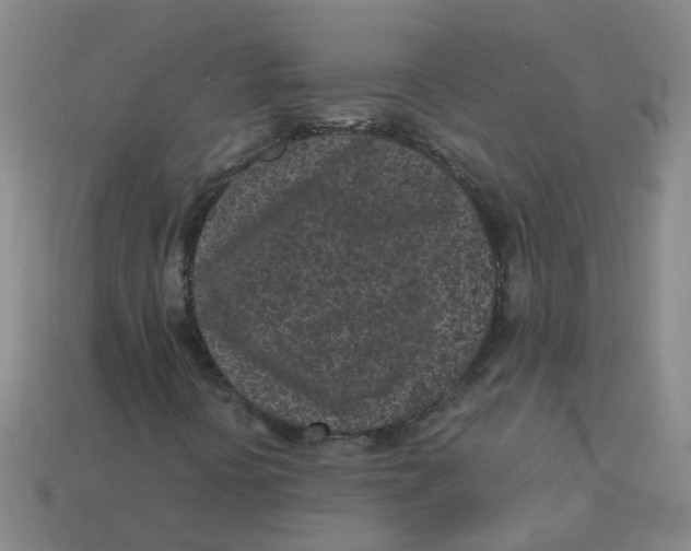 X0000113331394200910131139