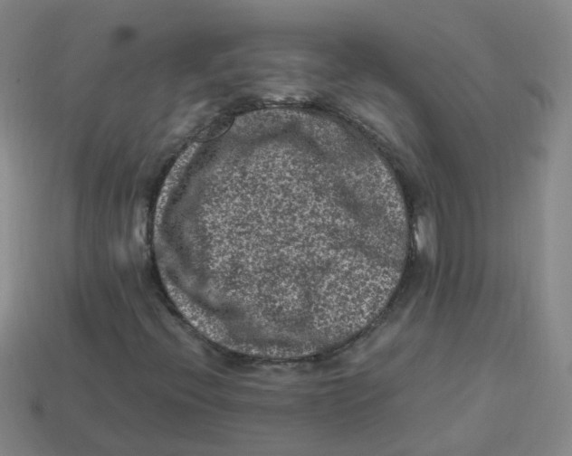X0000113331396200910131139