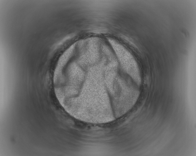 X0000113331398200910131139