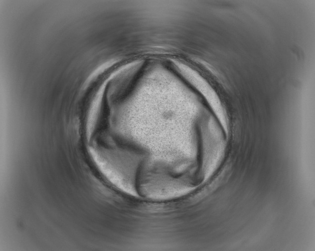 X0000113331402200910131139