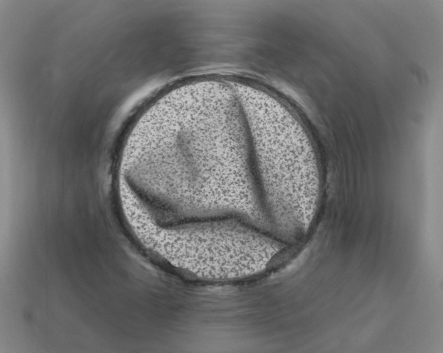 X0000113331406200910131139