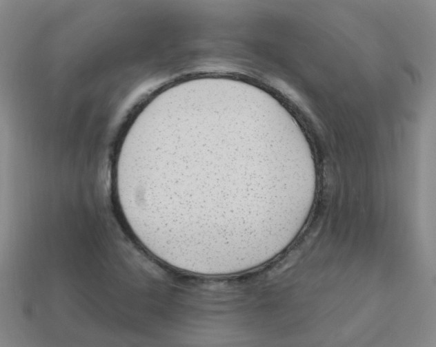 X0000113331408200910131139