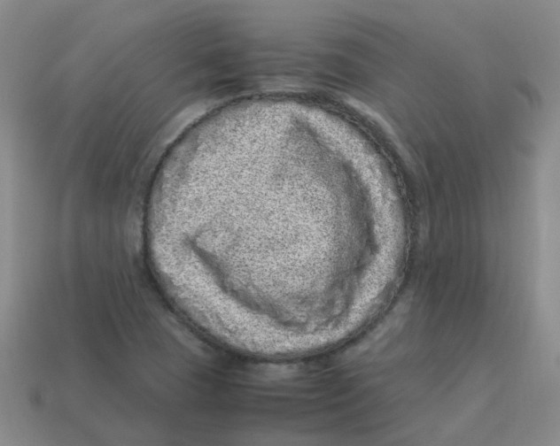 X0000113331409200910131139