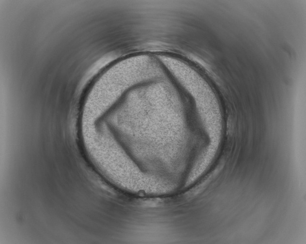 X0000113331410200910131139