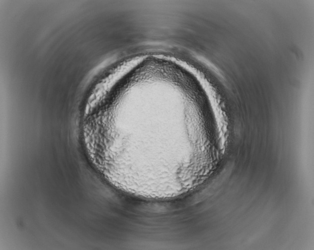 X0000113331411200910131139