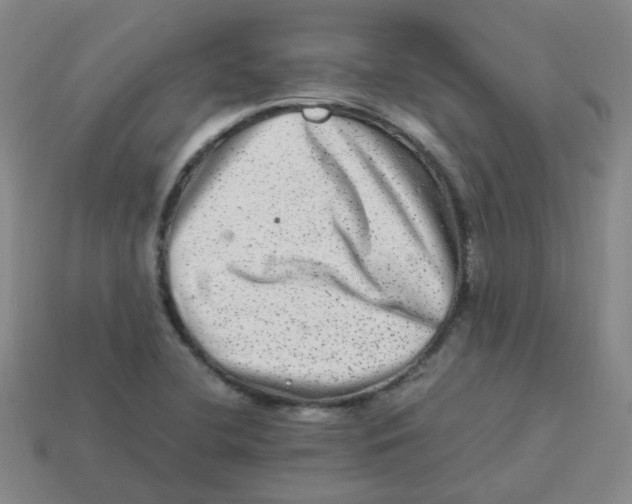 X0000113331412200910131139