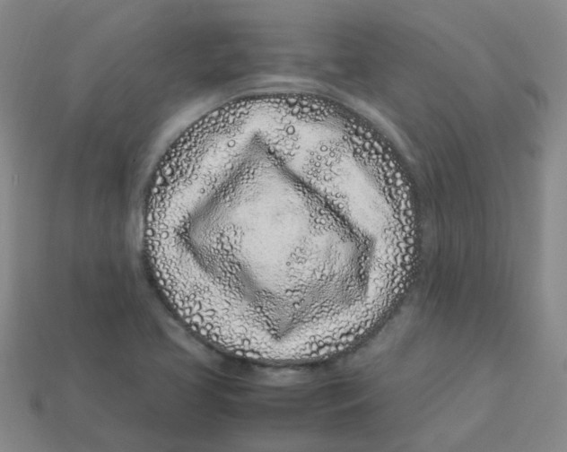 X0000113331413200910131139
