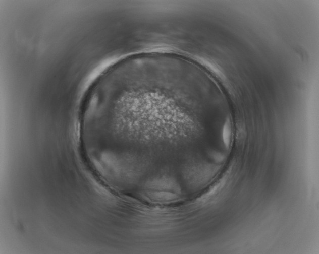 X0000113331414200910131139