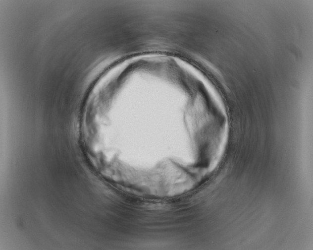 X0000113331415200910131139