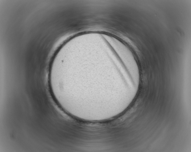 X0000113331416200910131139
