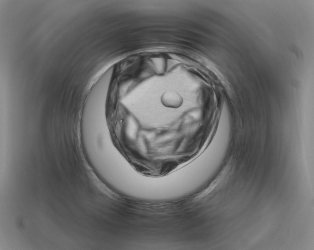 X0000113331417200910131139