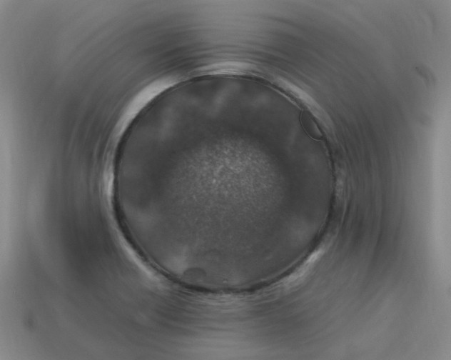 X0000113331418200910131139