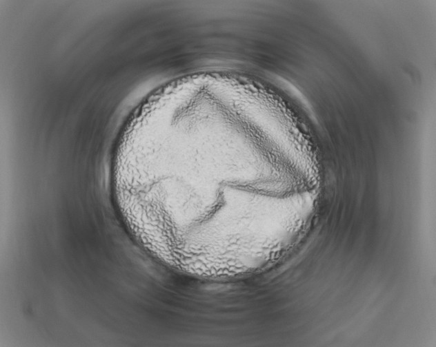 X0000113331419200910131139