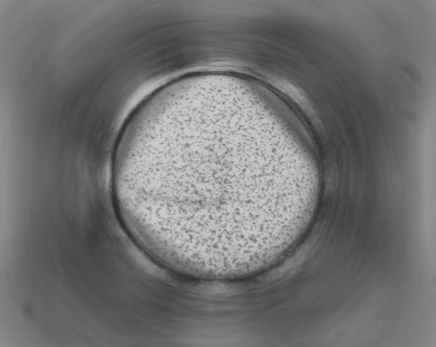 X0000113331420200910131139