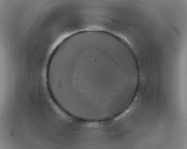 X0000113331422200910131139